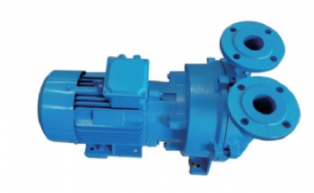 2BV series water ring vacuum pumps and compressors